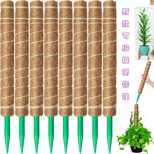 龟背竹绿萝专用椰棕攀爬支撑柱