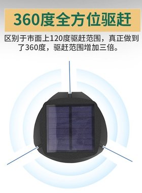 Pig dog artifacts high pJower ultrasonic beast outdoor anim