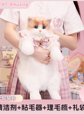 网红同款仿真猫咪布偶玩偶娃娃仿生陪伴背包小猫猫安抚生日礼物
