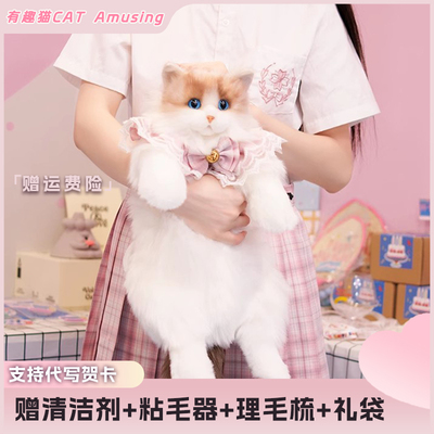 仿真布偶背包送礼首选赠清理工具