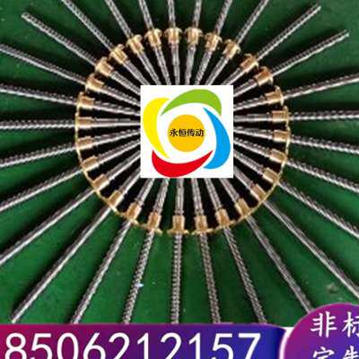 好货新品非标定制梯形丝杆正反牙s双向螺纹送料 N升降蜗轮蜗杆T型
