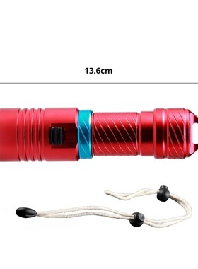 IPX8 Waterproof Dive Underwater 200 Meter Professional Divin