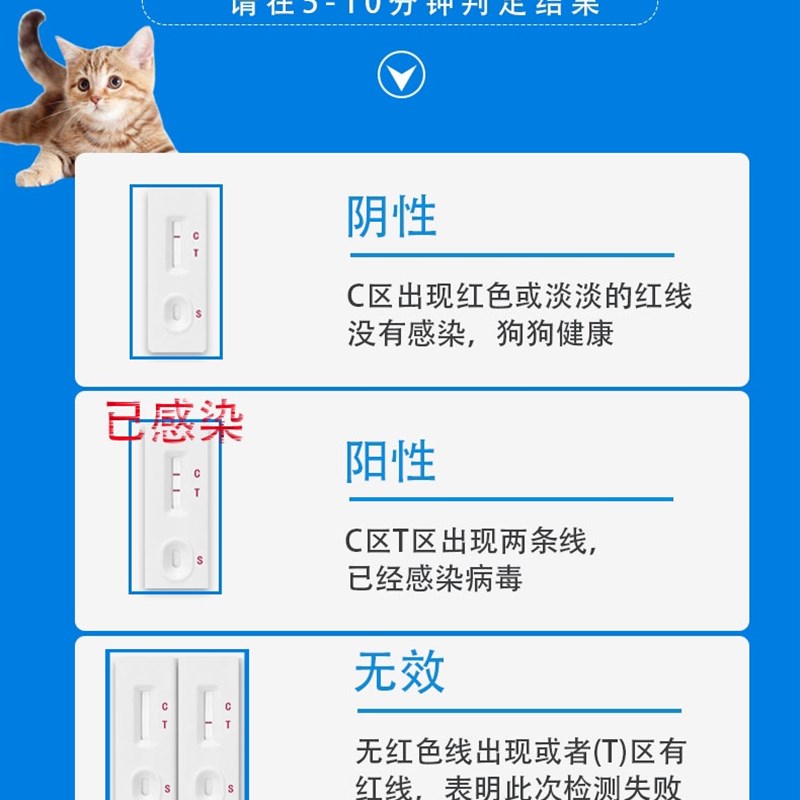 猫瘟猫鼻支猫杯状猫传腹弓形虫检测套装猫咪病毒测试纸检测卡试纸