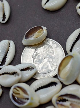 100Pcs White DIY Sea Shell Cowrie Cowry Charm Beads Beach