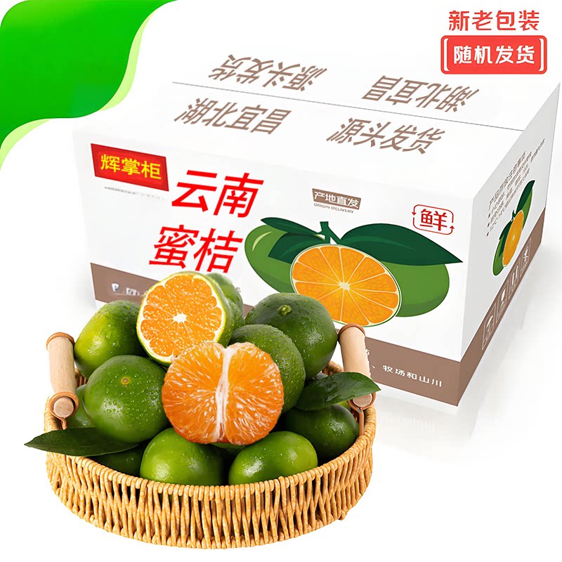 2026现摘青皮无籽蜜橘9斤整箱