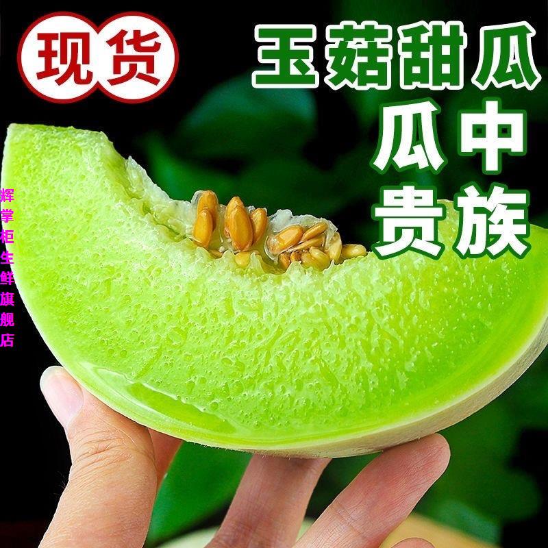 现摘海南玉菇甜瓜头茬冰淇淋甜瓜