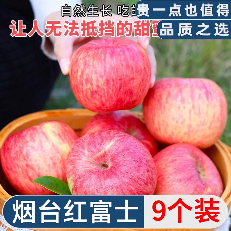 栖霞红富士苹果9个装,仅此一单