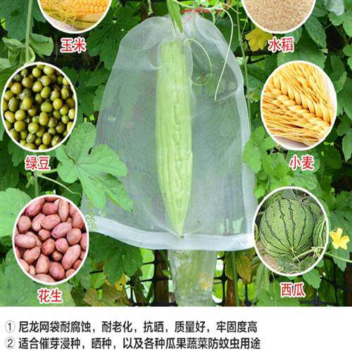 极速尼龙网防鸟纱网水果草莓果实防蝇防虫网套袋包枇杷番石榴梨保