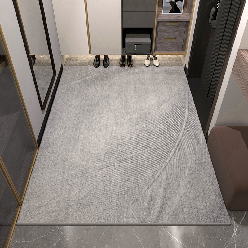 网红入门户地垫2022新款高级感地毯入户门垫大门口进门家用踩脚垫