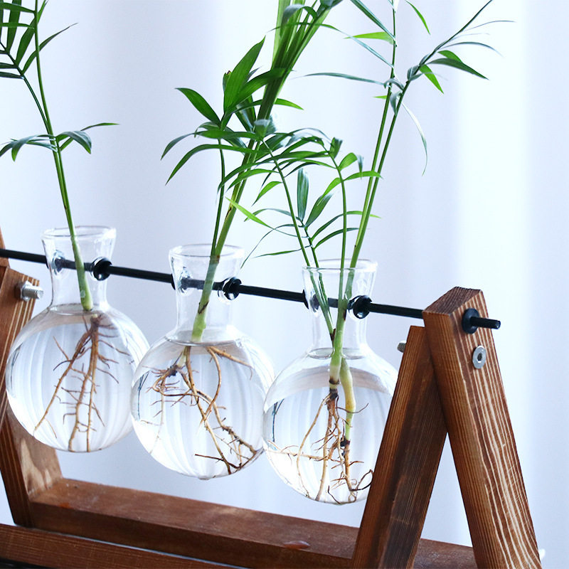 极速创意木架水培植物玻璃花瓶简约个性透明花盆容器盆栽绿植桌面