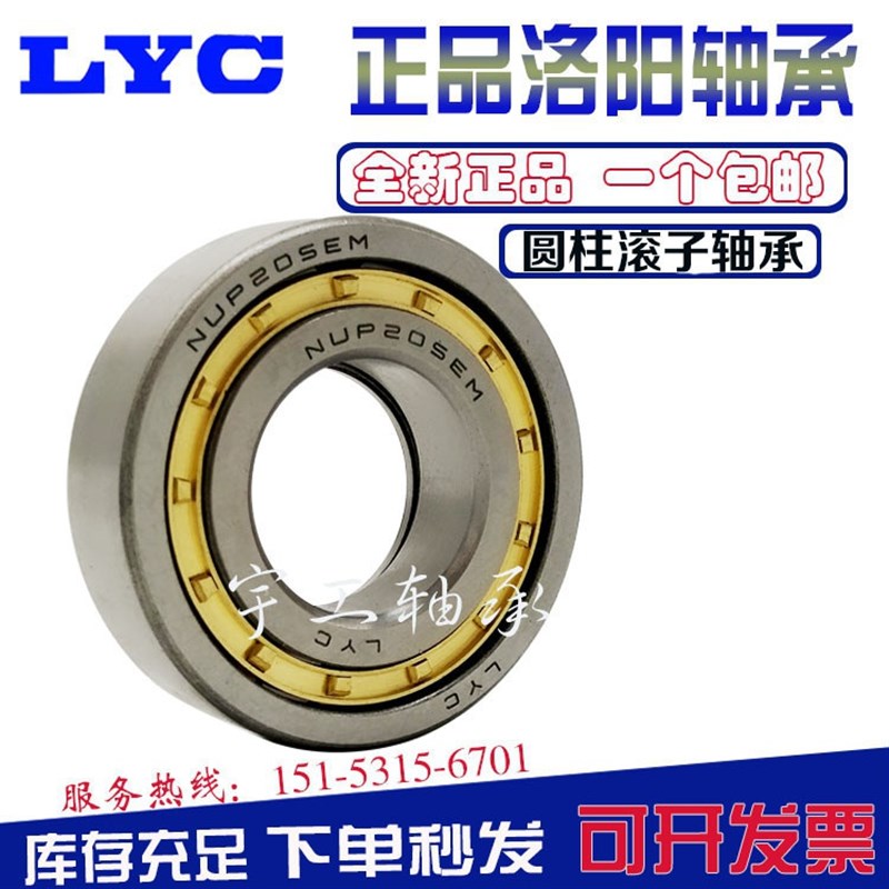 FD Luoyang Bearing Cylinder Bearing NJ Nu Nup 2204 2205 220
