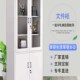 极速 长沙铁皮件柜矮柜书文柜资料带锁凭证档案套色办公室员工更