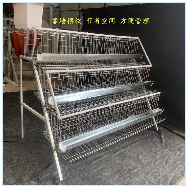 优质蛋鸡笼养殖场专用笼鸡笼子阶梯式蛋鸡笼养鸡设备养殖鸡笼全套