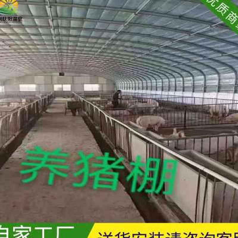 养殖大棚骨架养鸡场猪舍牛棚羊圈仓库棚温室钢管钢架养猪大棚全套