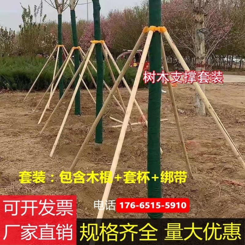 支架固定架固定器去皮松木棍支撑套装园林绿化新型行道树木支伸缩