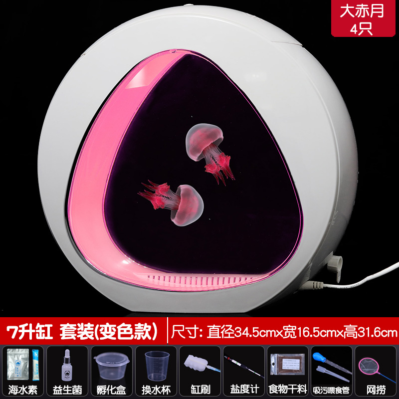 水母缸活物生态瓶造景客厅桌面宠物观赏鱼缸赤月养殖专用水族箱