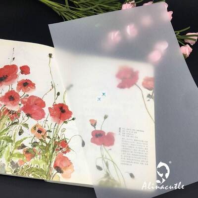 =20pcs A4 Vellum paper acetate paper paper pack design paper