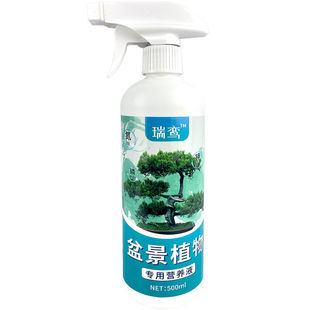 黄杨专用肥营养液雀舌瓜子黄杨树盆景肥料防黄叶促生长生根叶面肥