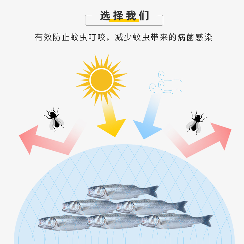 晒鱼干防苍蝇网家用晒鱼网晾晒网兜笼晒菜地瓜腊肉晒东西的干货网