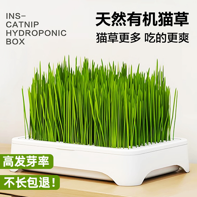 无土水培猫草盆栽小麦草种子懒人种植化毛球神器猫咪零食宠物用品