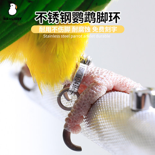 birdstory脚环脚链超轻不伤脚