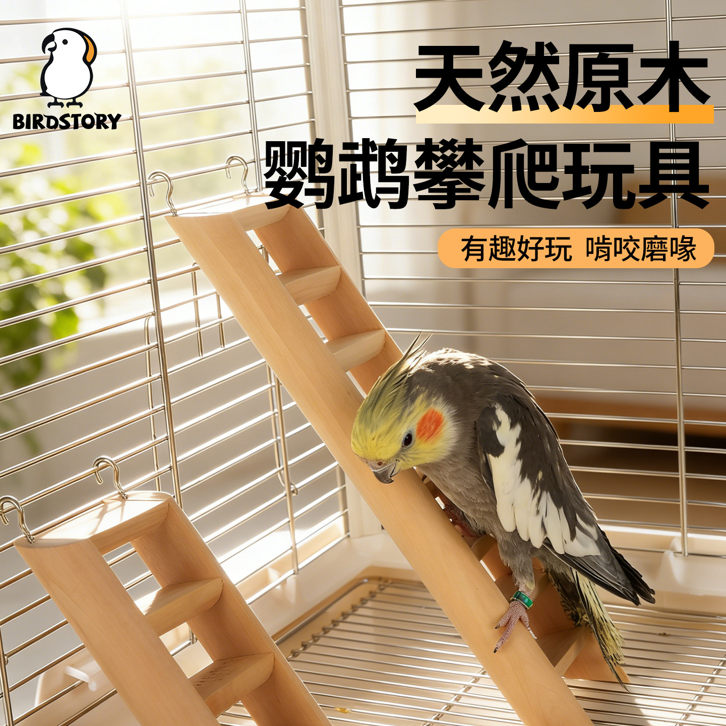 鹦鹉玩具爬梯笼内装饰楼梯攀爬训练解闷自嗨牡丹玄凤虎皮专用云梯,宠物/宠物食品及用品,鸟玩具,淘宝优惠券,粉丝福利购,淘宝优惠卷