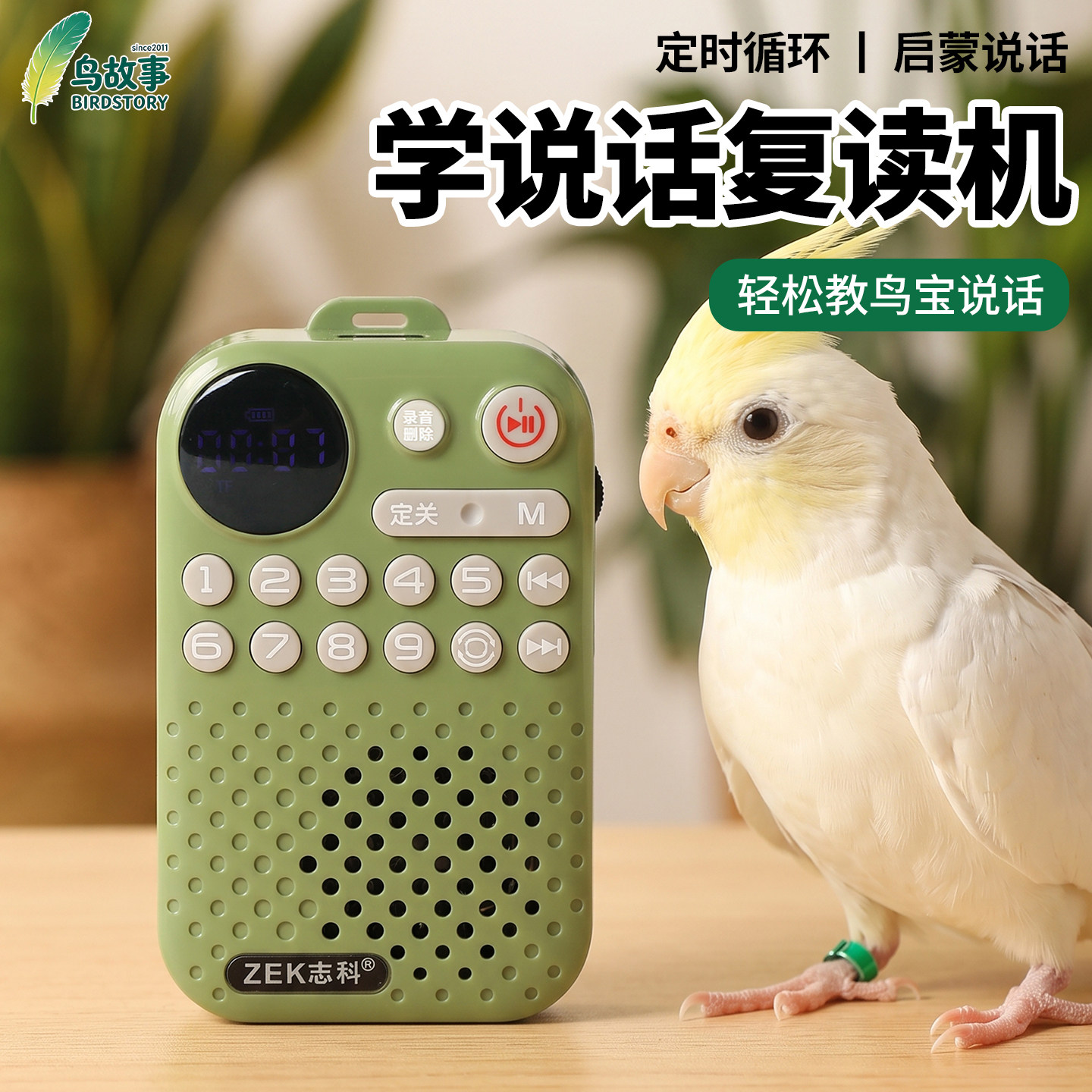 虎皮八哥学说话教鸟学习复读机