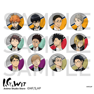 日谷 排球少年交响乐盲抽闪底马口铁徽章动漫周边原版 I.G WIT