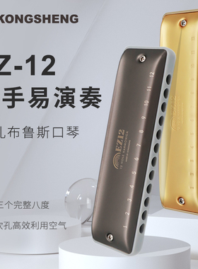 KONGSHENG孔声EZ12全音阶12孔布鲁斯口琴初学入门成人专业演奏级