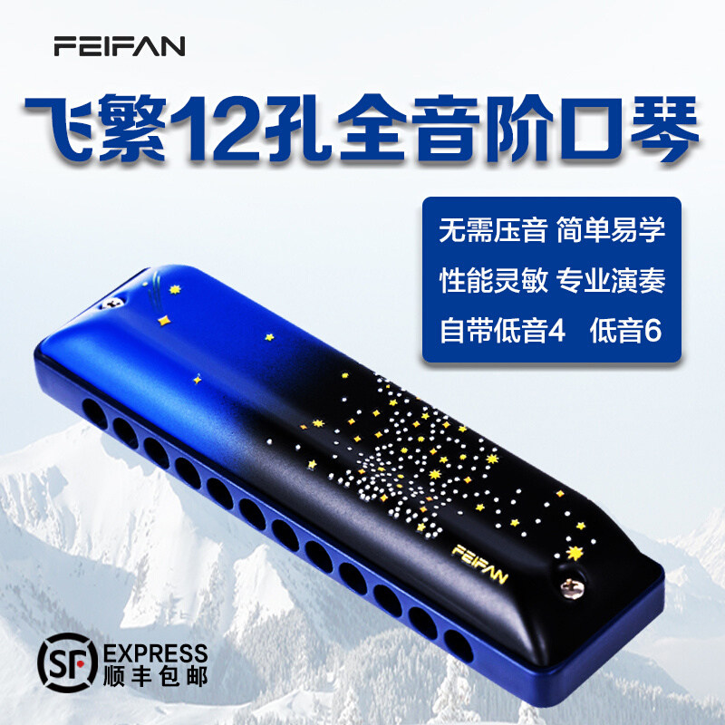 FEIFAN飞繁YW-F12布鲁斯12孔口琴初学者成人带低音FALA专业演奏级