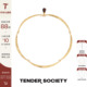 Tender Society Luck护身符系列红虎眼石叶片型项圈小众时髦高级