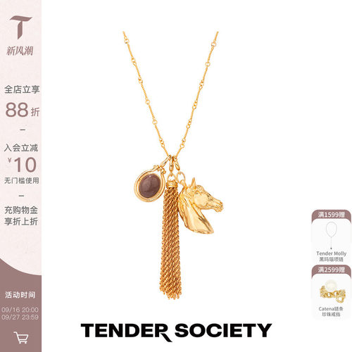 小马镶石流苏长项链时髦生日礼物