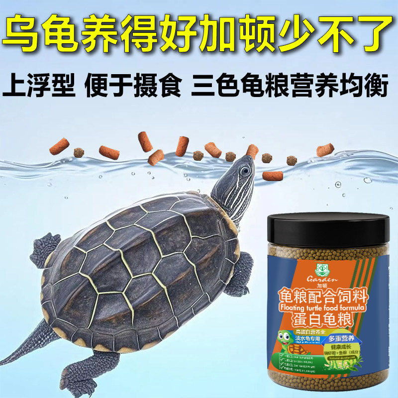 加顿龟粮高蛋白不臭水增色固甲石幼龟苗金钱龟草龟火焰龟通用龟粮