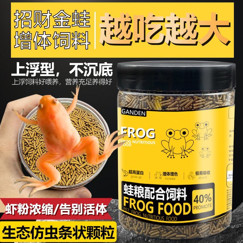 金蟾黄金蛙树蛙角蛙代替虫子饲料