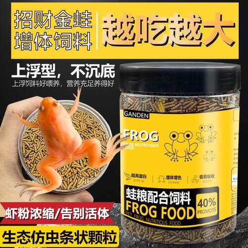金蟾黄金蛙树蛙角蛙代替虫子饲料