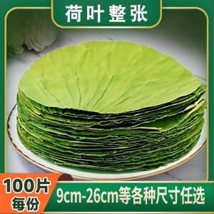 整张干荷叶圆形12-28cm蒸笼用