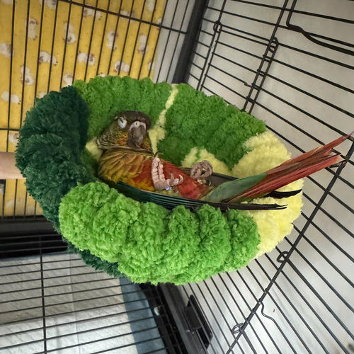 大空间鸟窝鹦鹉窝冬季加厚保暖鸟巢虎皮牡丹玄凤小太阳休息躲避窝