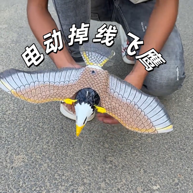 仿真老鹰鸟电动发声发光吊线玩具儿童动物飞声音灯光会叫能飞鸟