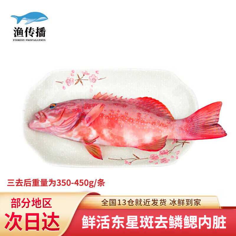 渔传播冰鲜活鱼现杀三去东星斑