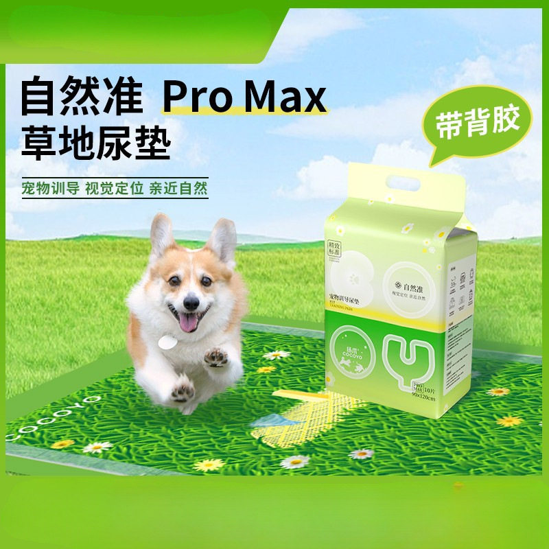狗狗尿垫除臭加厚吸水超大地尿垫狗尿垫尿垫狗用宠物尿垫