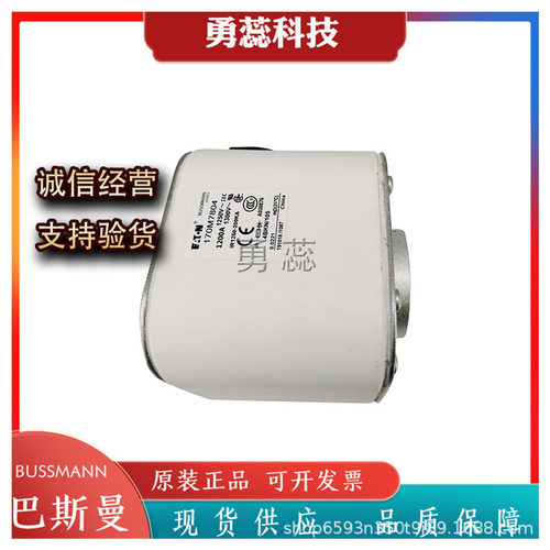 保险丝熔断器      170M7804    170M7217   170M7597