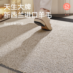 大江地垫入户门高级感玄关门垫门口进门防滑地毯家用入门防摔脚垫