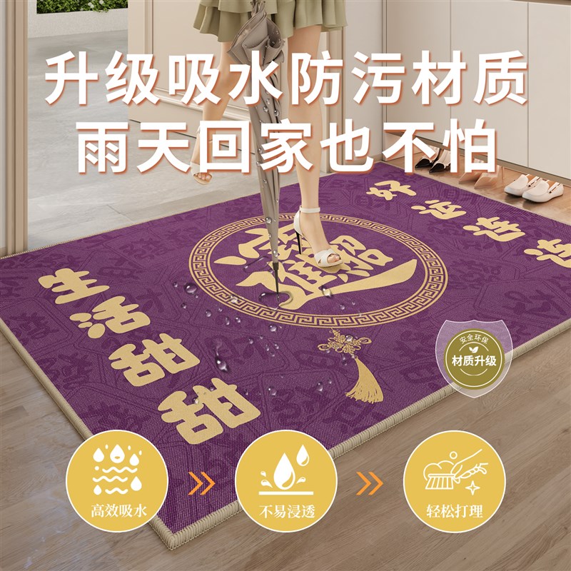 九紫离火运地垫入户门垫出入平安防滑耐脏紫色大门口脚垫进门地毯