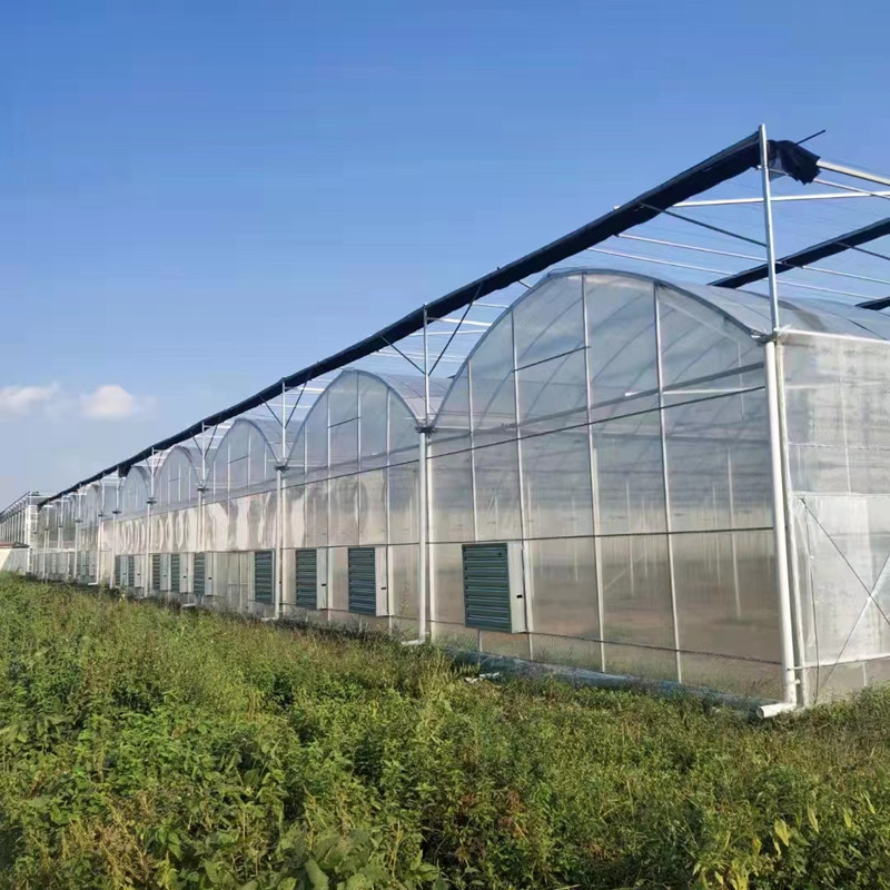 连栋大棚花卉薄膜大棚温室连体骨架棚蔬菜大棚养殖钢管外遮阳定制,农机/农具/农膜,温室大棚支架,淘宝优惠券,粉丝福利购,淘宝优惠卷