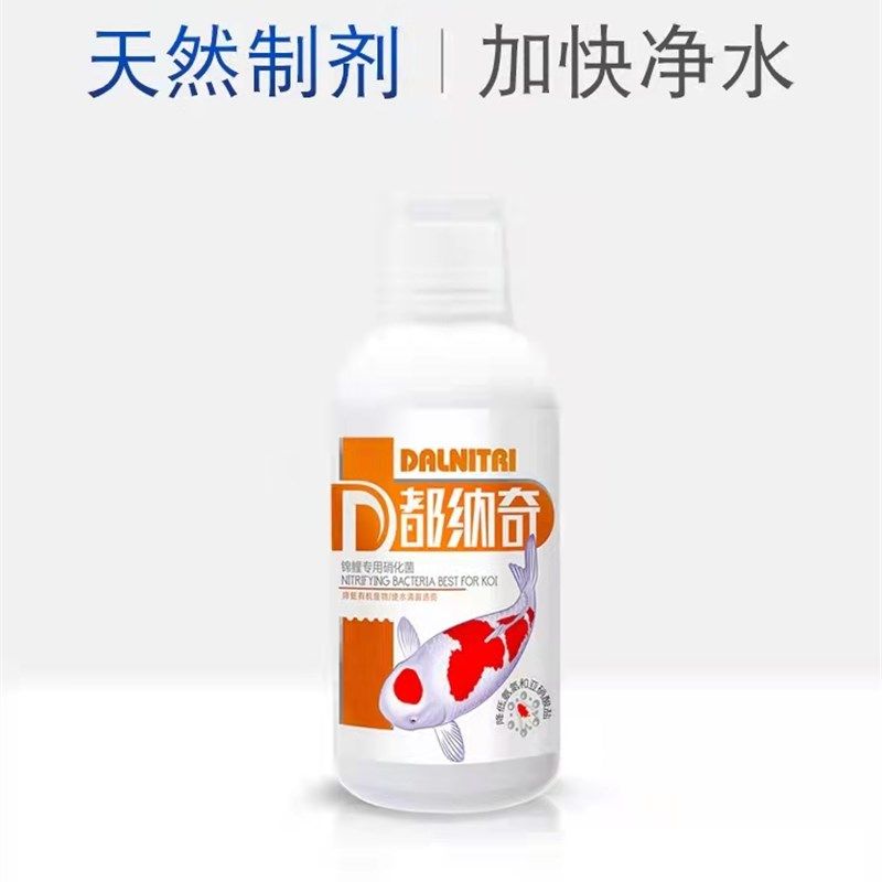 玛豆都纳奇锦鲤观赏鱼水族硝化细菌庭院鱼池水质净水硝化菌鱼缸