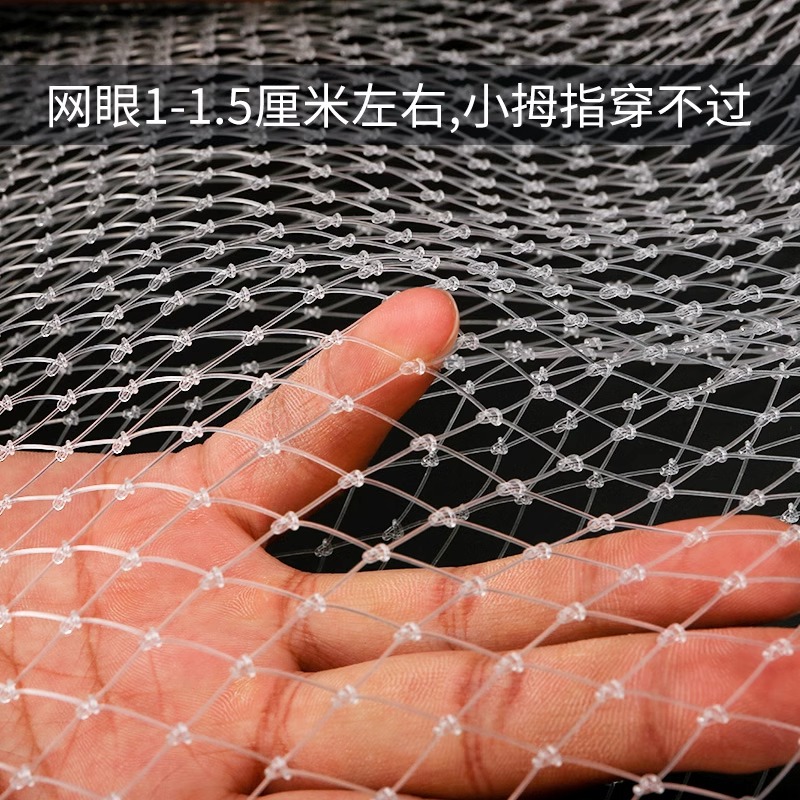 1厘米小网孔尼龙防鸟网防冰雹网果树防鸟网抗氧化防鸟丝网隐形
