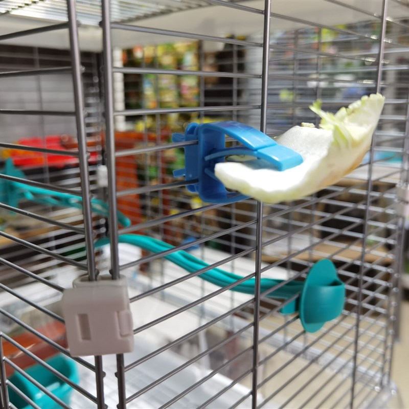 鸟类系统鸟用多功能固定夹鹦鹉用品零食水果叉墨鱼骨蔬菜夹小夹子