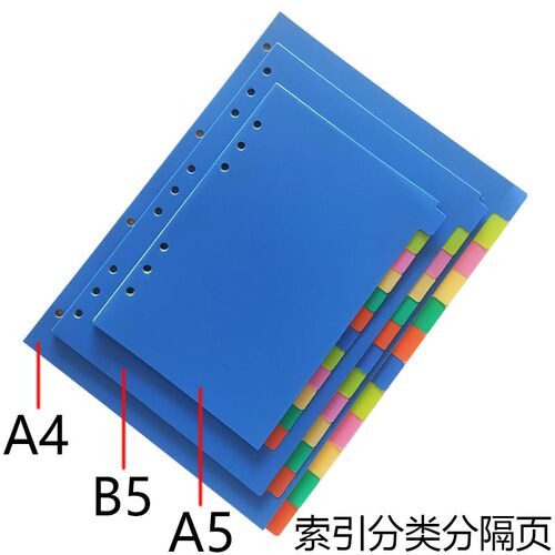 A4B5A5彩色塑料分隔页12张活页本索引分页纸6孔磨砂分类卡可定制