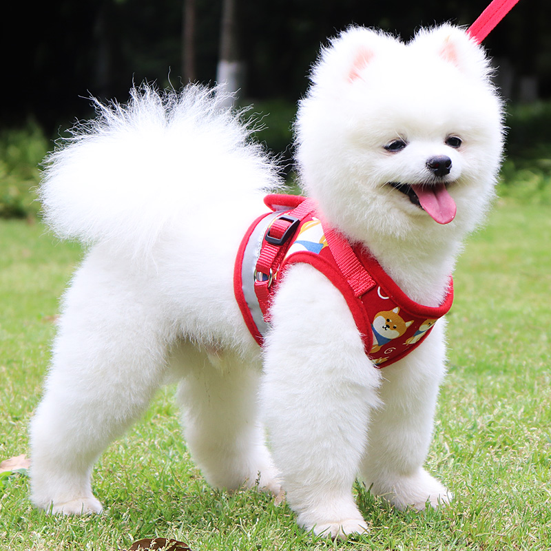 狗狗牵引绳泰迪博美背心式遛狗绳狗链子小型犬中型犬猫绳宠物用品