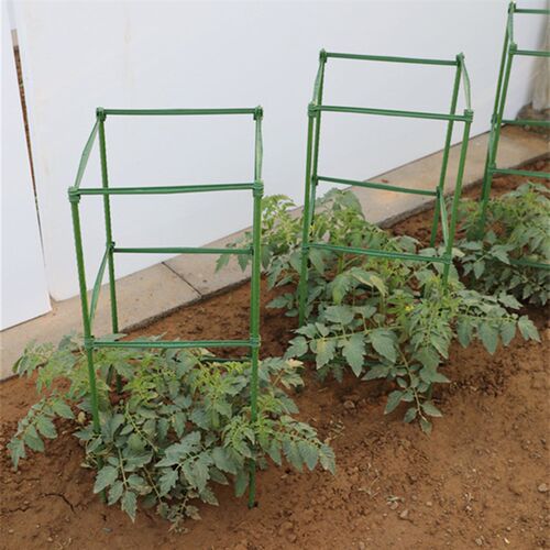 番茄西红柿架阳台地面花架番茄专用防倒爬藤架菜园种菜栅栏支撑杆